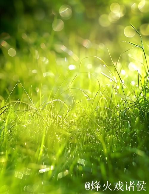 青青草精品：探索绿色生活之美